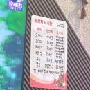 경북 영천 영천시장 한우소머리곰탕 맛집 유진식당