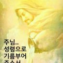한강법무사 이미지