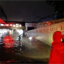 우장춘로 이미지