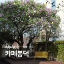 봉덕로 카페봉덕 앞 | 대구 남구 카페봉덕 라일락 실시간 개화상황 주차장