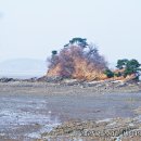 홍정희효자문 이미지