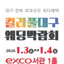 라온캣독 호텔 대구점 | 컬러풀대구웨딩박람회 후기｜결혼 준비 시작, 스드메 계약까지 완료! (feat. 박혜슬 웨딩플래너)