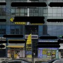 바이다교(by다교)
