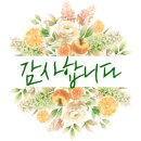 명품어묵핫바떡볶이 이미지