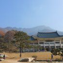 지곡리 등산로 이미지