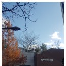 탑 어린이공원 이미지