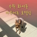 아우어독 | 수원 화서동 아우어독 호텔링 강추♡