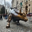 황소밧데리 이미지