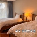일레인호텔 | 제주일레인호텔 서귀포 가성비숙소 리얼 후기와 예약 꿀팁
