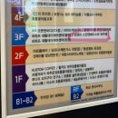 오앤리스킨엔헤드스파파주점