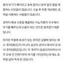 니들그거알아? 살뺄때 붓기뺄때 먹는 호박차 이거 잘못된거임 이미지