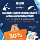 링키영어해운대영어교습소