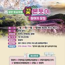 설레임여행사