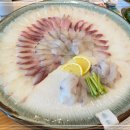 강문어화횟집 이미지