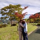 불갑저수지 수변공원 이미지