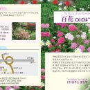 춤추는마을기업 이미지