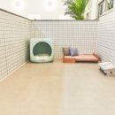 그루밍 나나 이미지