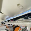 댕댕농부 | 제주항공 찜특가후기 찜특가일정+ 찜특가쿠폰정보