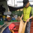 골말농장 이미지