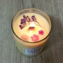 참 하다 이미지