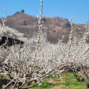 큰승주약국 이미지