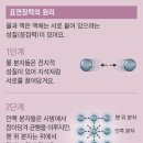 그냥 심심해서요. (40498) 표면장력 원리와 소금쟁이 이미지