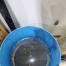 구봉낚시마트 이미지