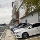 시즈닝 페퍼 이미지