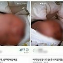 당근마켓