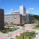 실질적인 취업 준비하기 이미지