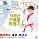 우일태권도 네이버블로그