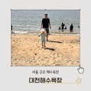 비치팰리스 펜션 | 대천해수욕장, 대천 비치 팰리스 펜션, 아이와 함께하는 대천 여행(서울에서 멀지 않은 해수욕장 추천)
