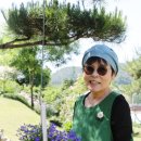 꼼지의 작은세상 이미지