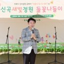 들꽃나들이