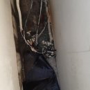 주식회사신평 이미지