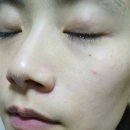 봉황목장 네이버블로그