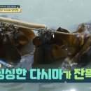 숯불구이백반