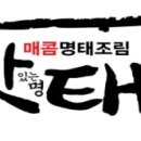 이대맛태 이미지