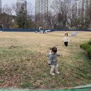 영등시민공원 이미지