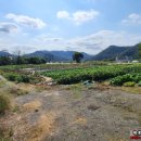 월항마을회관 이미지