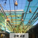 교동육수공방 네이버블로그