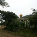 고로초 화수분교 이미지