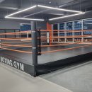 스톤복싱 이미지