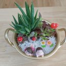 성거초등학교 병설유치원 이미지