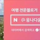 신정노을