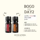 아로마패션 이미지