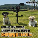 강아지 영상촬영 애견스냅 '아이엠필름IMFILM'