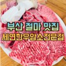 세연한우암소