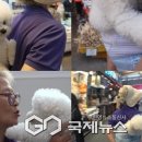 영배농장 이미지