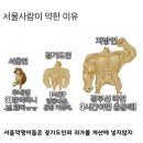 공중그늘과 효도하고 돌연히 브로큰티스를외치다